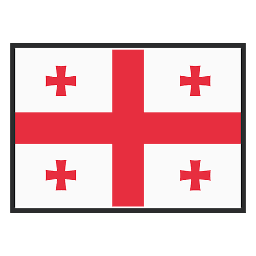 Nikoloz Basilashvili crest