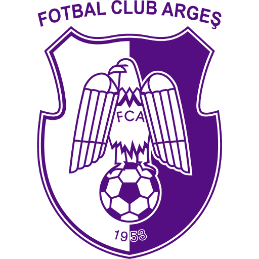 Argeș Pitești crest